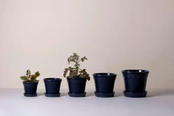 Online Krukke med underskål Københavner GLAZED, diameter 21 cm Potteskjulere