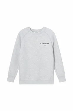 Björn Borg Sweatshirt Borg Essential 1^Børn Sweatshirts & Hoodies