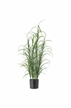Bloomingville Grass Plante^ Planter & Blomster
