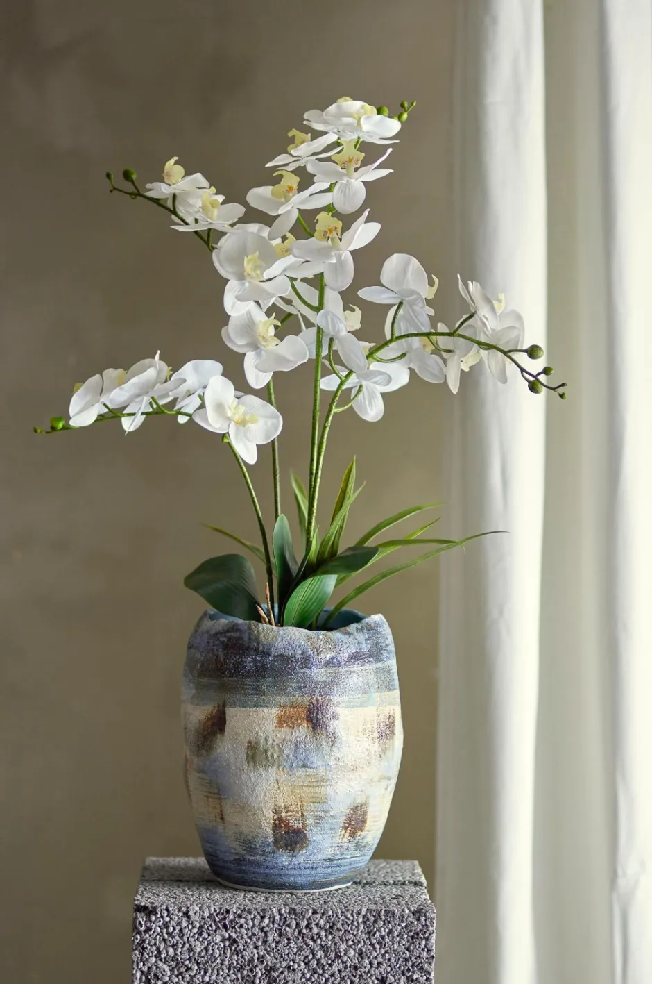 Discount Orchid Plante Planter & Blomster