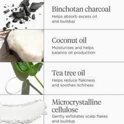 Briogeo Scalp REVIVAL™ Charcoal + Coconut Oil Micro-Exfoliating Shampoo 236Ml^ Hår|Hår