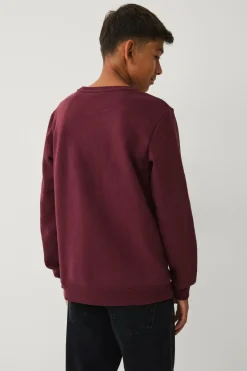 Sale Collection Sweatshirt Børn Sweatshirts & Hoodies