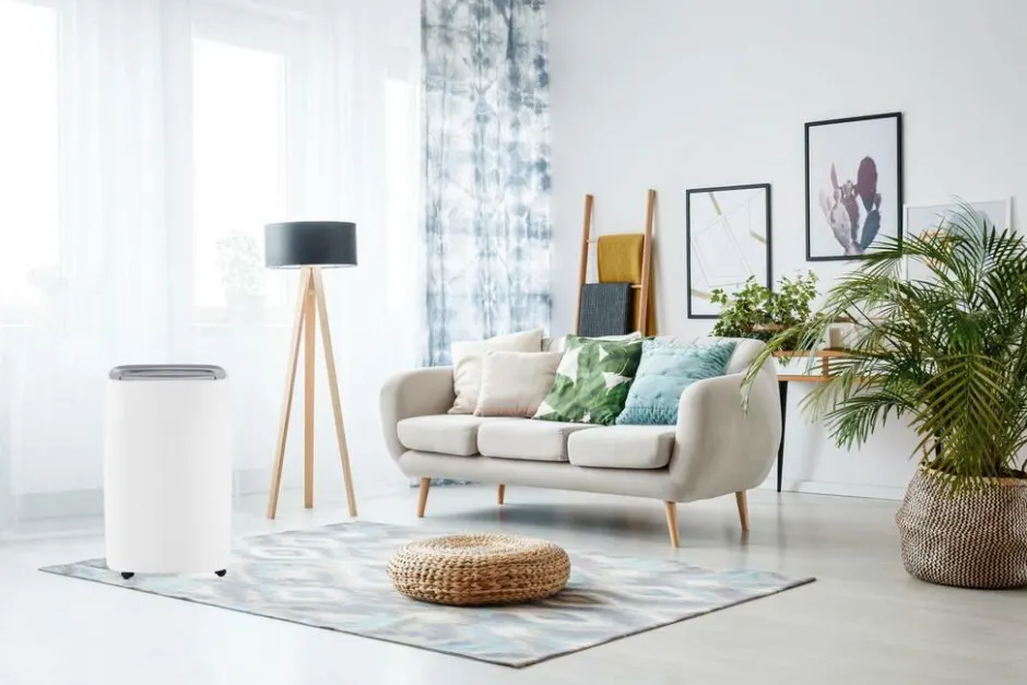 Outlet Affugter Husholdningselektronik