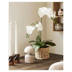 Bordlampe, Aulla Bordlamper