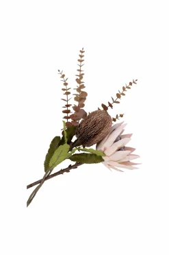Online Buket King Protea Planter & Blomster