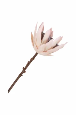 Online Buket King Protea Planter & Blomster