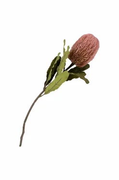 House Nordic Buket King Protea^ Planter & Blomster