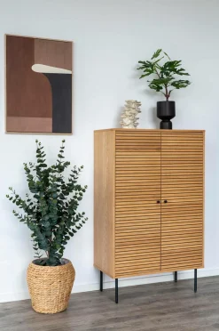 Eukalyptustræ Planter & Blomster