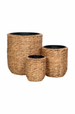 Sale Krukke HANOI sæt med 3 Planter & Blomster