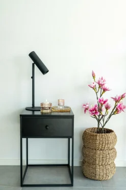 Discount Magnoliatræ Planter & Blomster