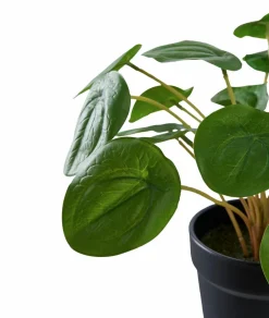 New Pelia Planter & Blomster