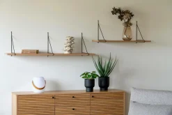New Pelia Planter & Blomster