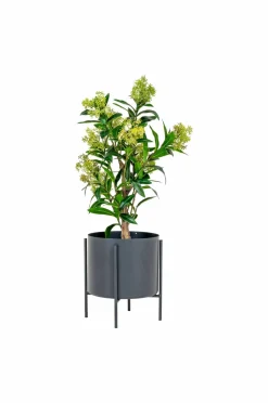 House Nordic Vinterbær^ Planter & Blomster