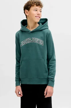 Jack & Jones Junior Hættetrøje jjeCaleb Varsity Sweat Hood Noos JN^Børn Sweatshirts & Hoodies