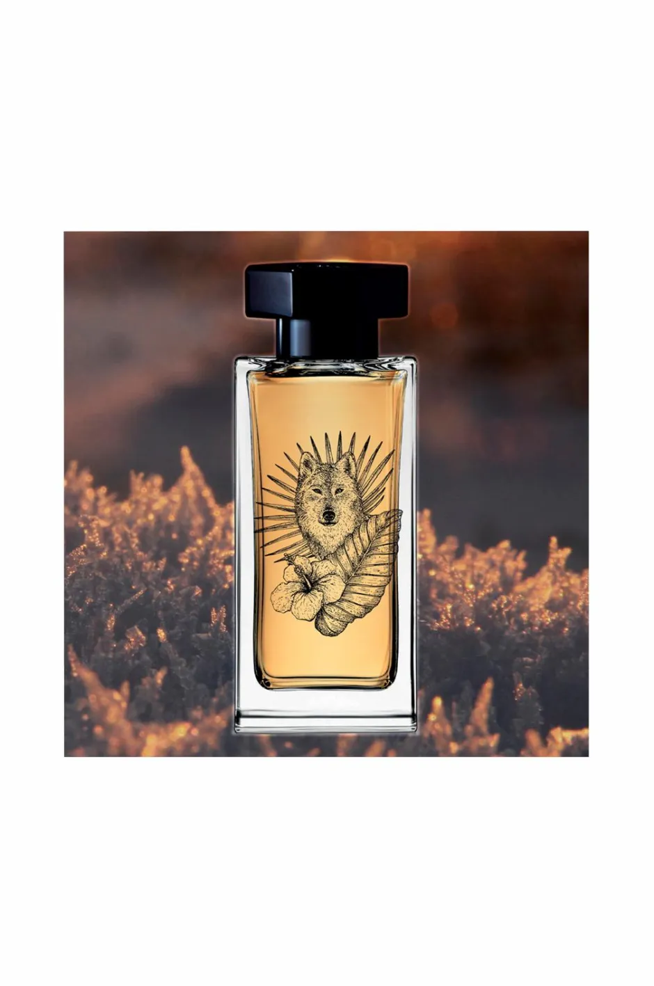 Online Singulière Hattai EdP 50 ml Parfume|Parfume