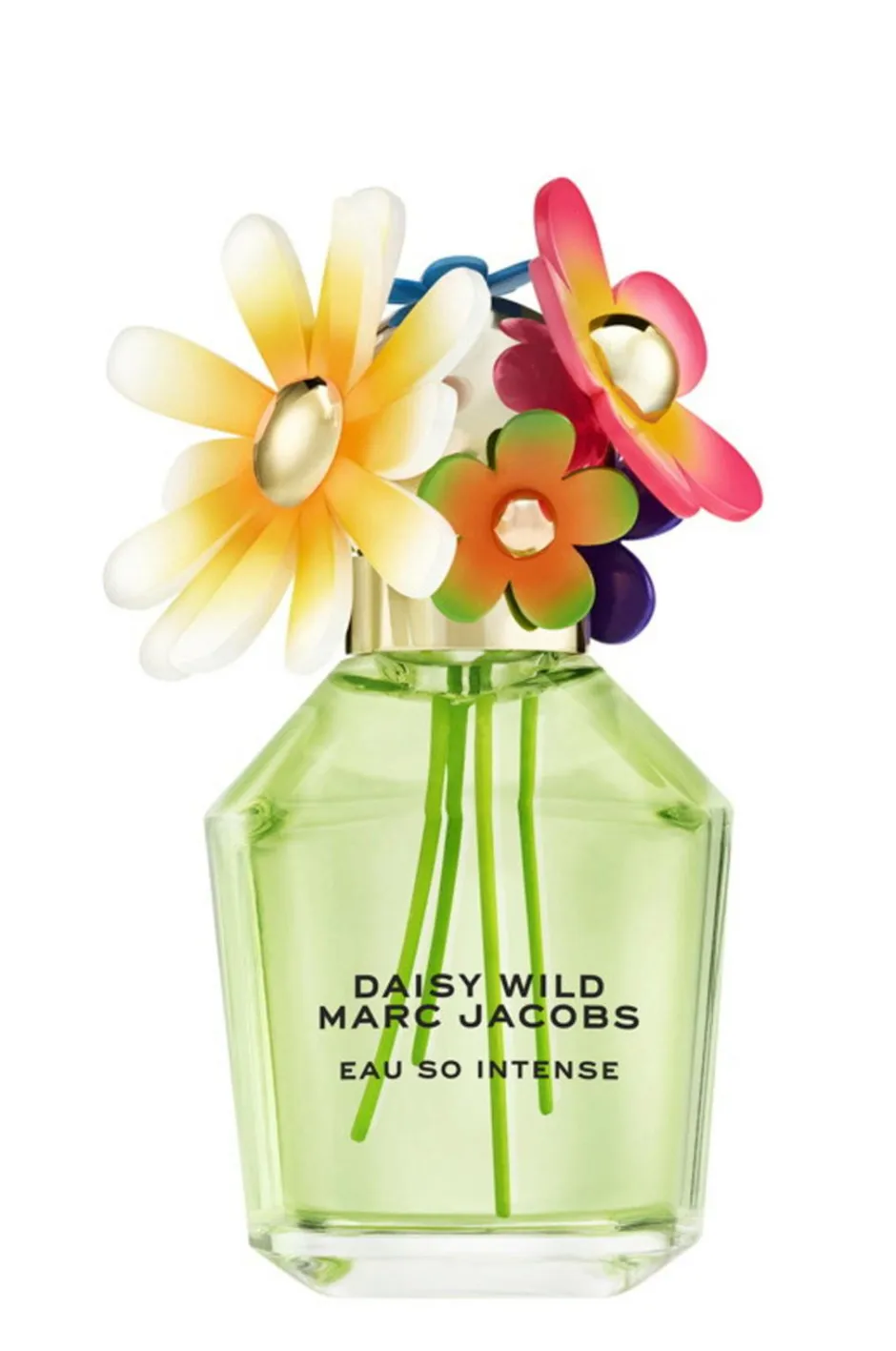 Marc Jacobs Daisy Wild Intense Edp^ Parfume