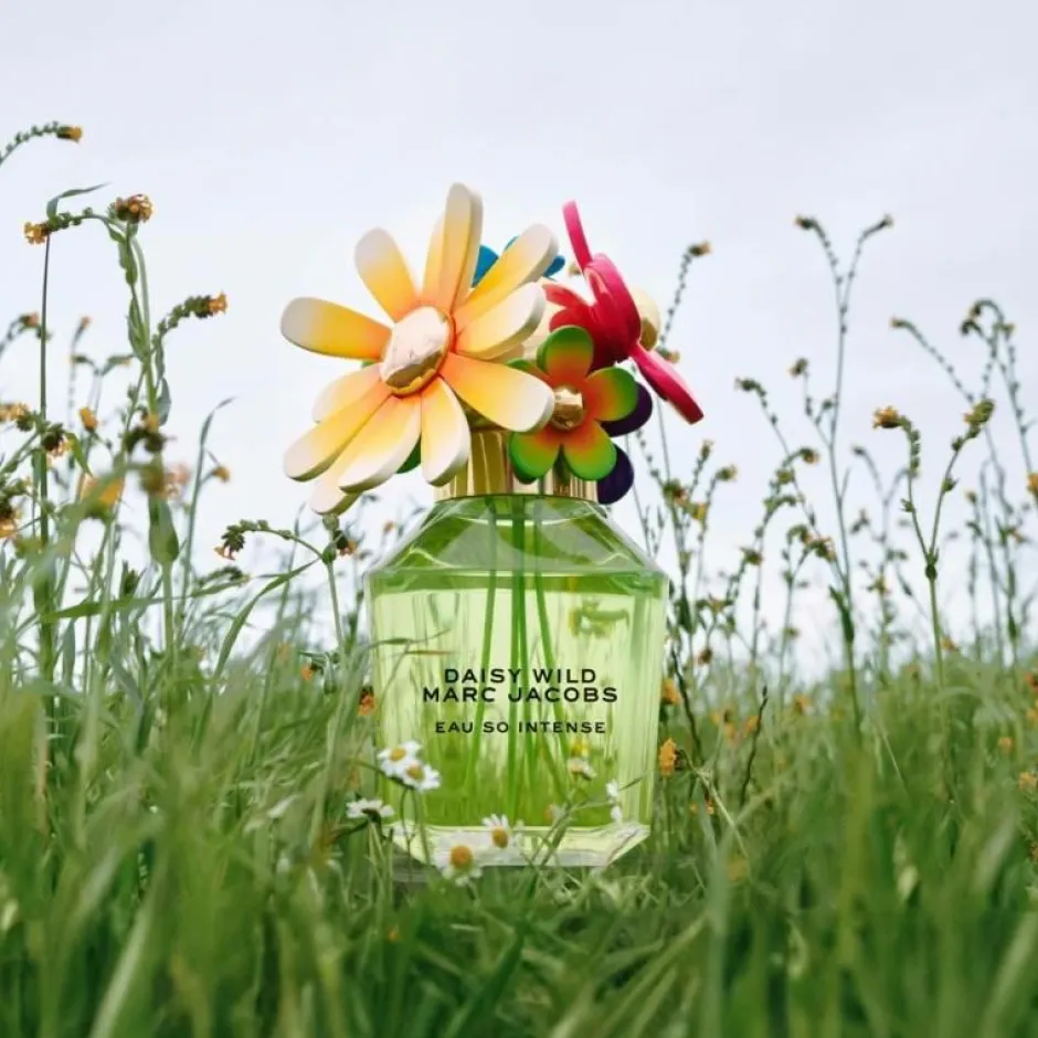 Sale Daisy Wild Intense Edp Parfume