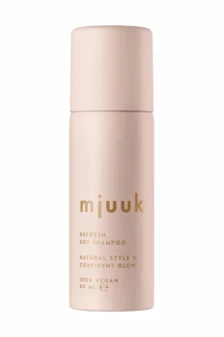 Best Refresh Dry Shampoo Styling