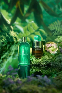 Molton Brown Wild Mint & Lavandin^ Parfume