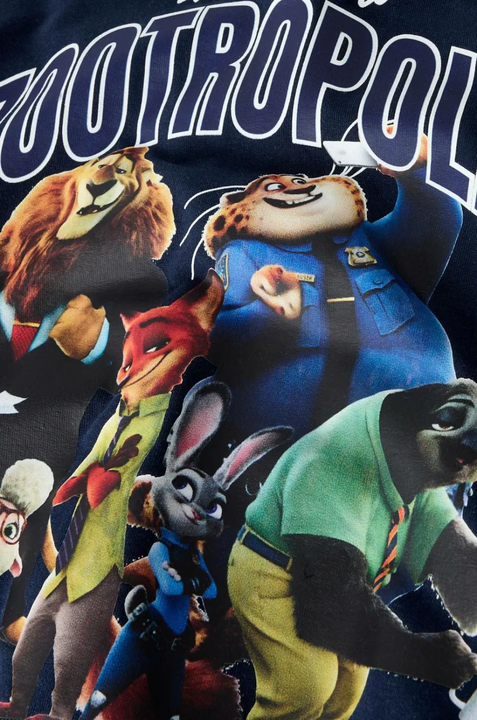 Sweatshirt nmmNoel Zootropolis Nreg Børn Sweatshirts & Hoodies