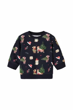 Discount baby Sweatshirt Nbnrenu LS Sweat Bru Børn Trøjer