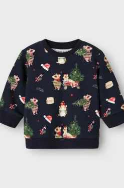 Discount baby Sweatshirt Nbnrenu LS Sweat Bru Børn Trøjer