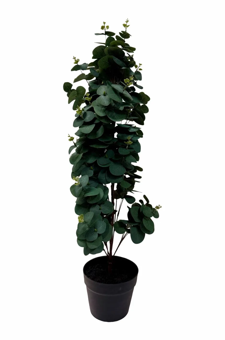 Discount Kunstplante Viridis Eucalyptus 78 Planter & Blomster