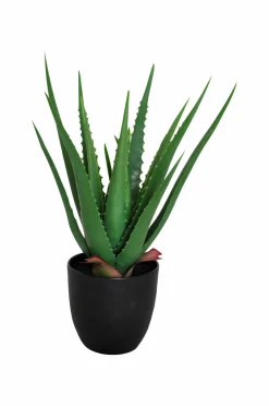 Nordic Furniture Group Kunstplante Viridis Aloe Vera^ Planter & Blomster
