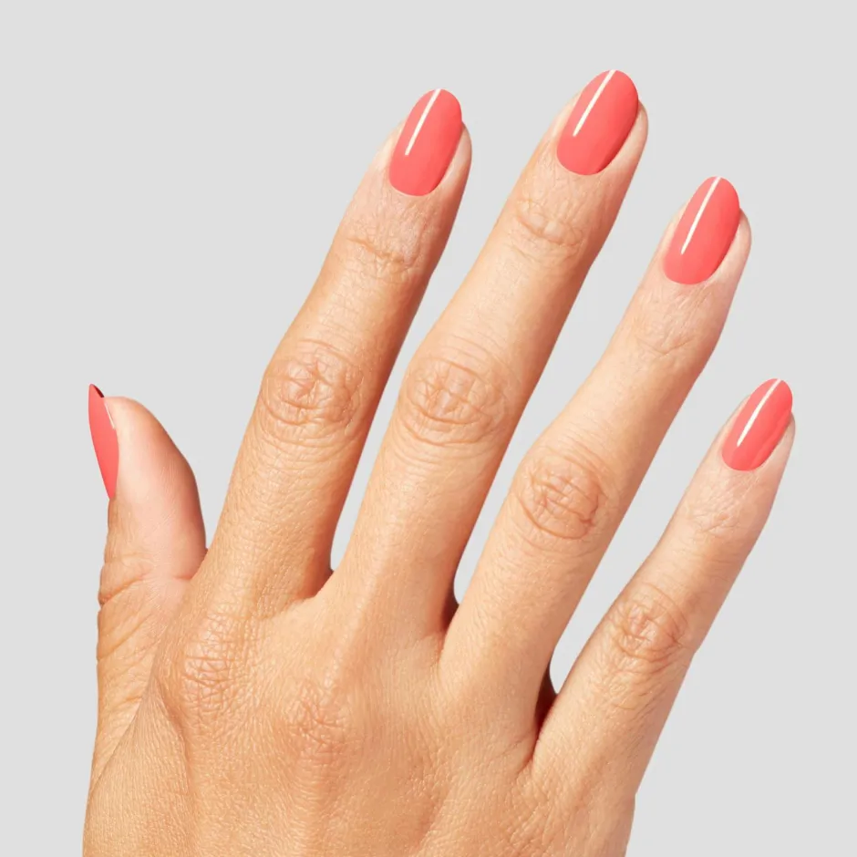 Clearance Nail Lacquer Fall Collection Negle