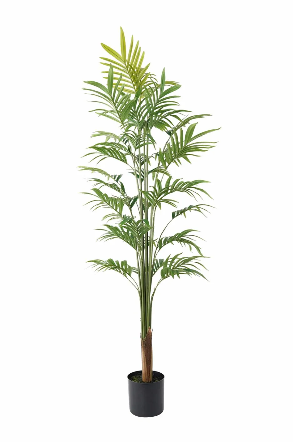 New Kunstig plante Gold Palm Tree large Planter & Blomster