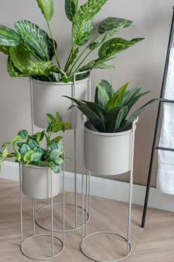 Clearance Plantepotte sæt Essence Potteskjulere