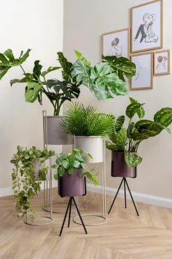 Clearance Plantepotte sæt Essence Potteskjulere