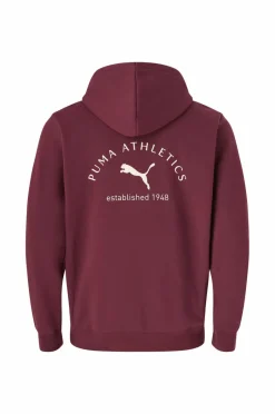 Puma Hættetrøje Class Graphic Hoodie FL^ Sweatshirts & Hoodies