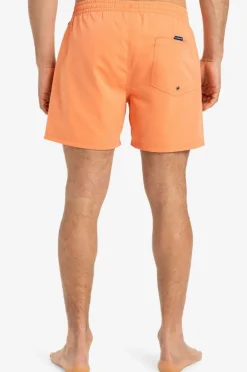 New Badebukser Everyday Solid Volley 15 Badetøj|Badetøj