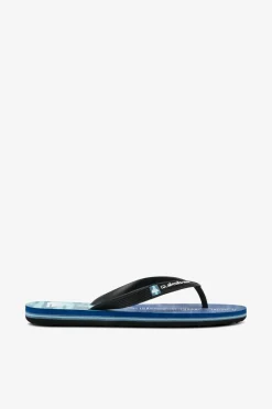 Quiksilver Flip flops Molokai Art II Youth^Børn Sandaler