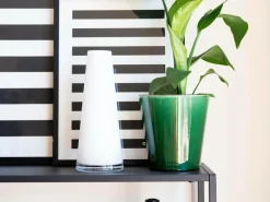 Online Glasvase Etage Vaser