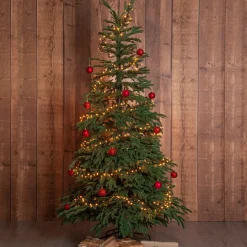 Outlet Juletræ Edane 210 cm Havepynt