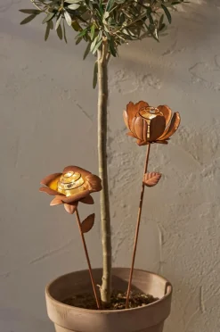 Star Trading Solcelledekoration Oxida Blomst 2-p^ Udendørsbelysning