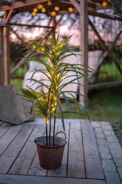 Star Trading Træ Bali 84cm^ Planter & Blomster