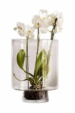 Sale Vase Optic Vaser